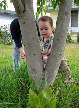 050327_IMG_6132