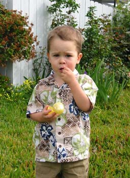 050327_IMG_6137