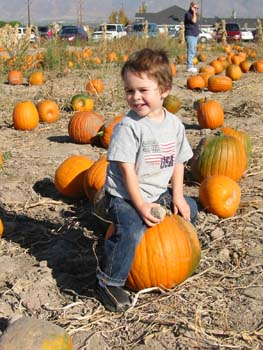 051021_Img_7120